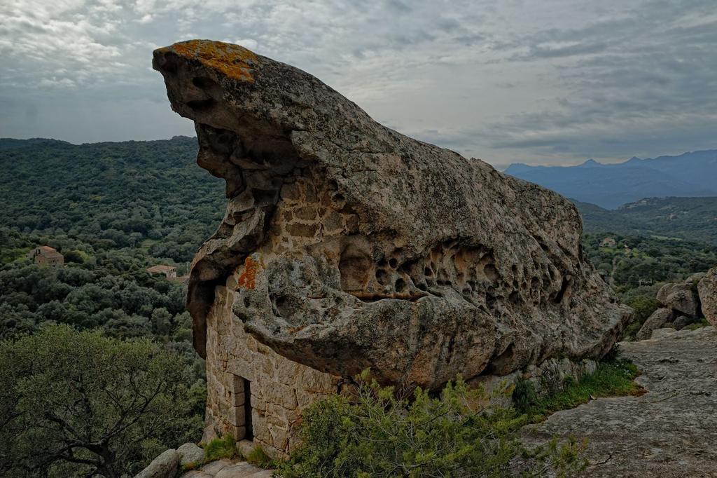 Holiday home Terracorse *
