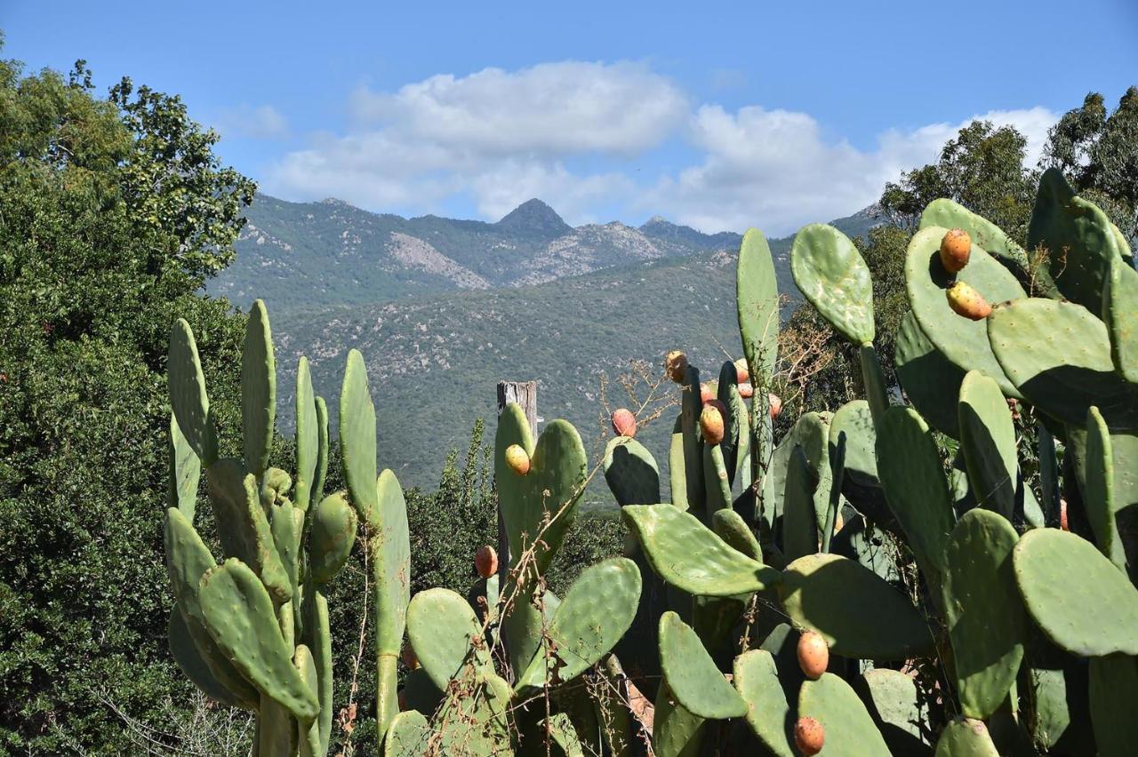 Terracorse Holiday home Figari (Corsica)